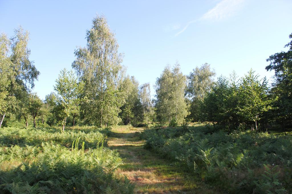 Pensiunea Casa Noastra Baia de Fier Exteriör bild
