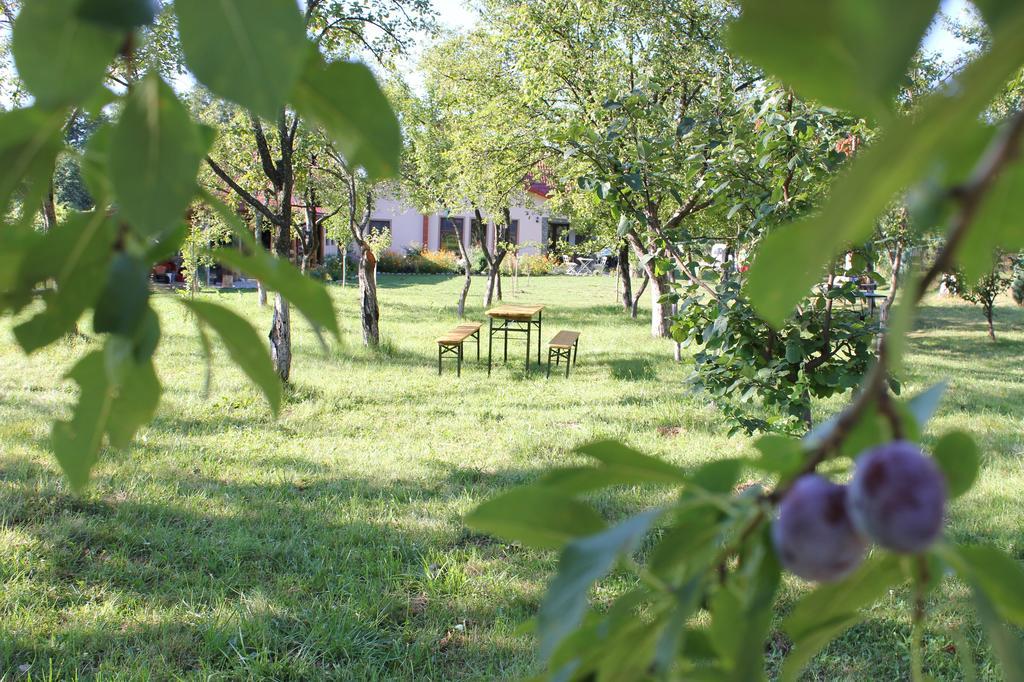 Pensiunea Casa Noastra Baia de Fier Exteriör bild