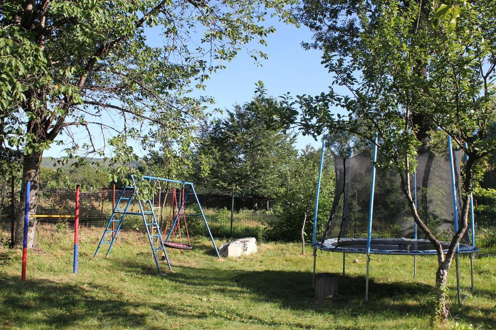 Pensiunea Casa Noastra Baia de Fier Exteriör bild