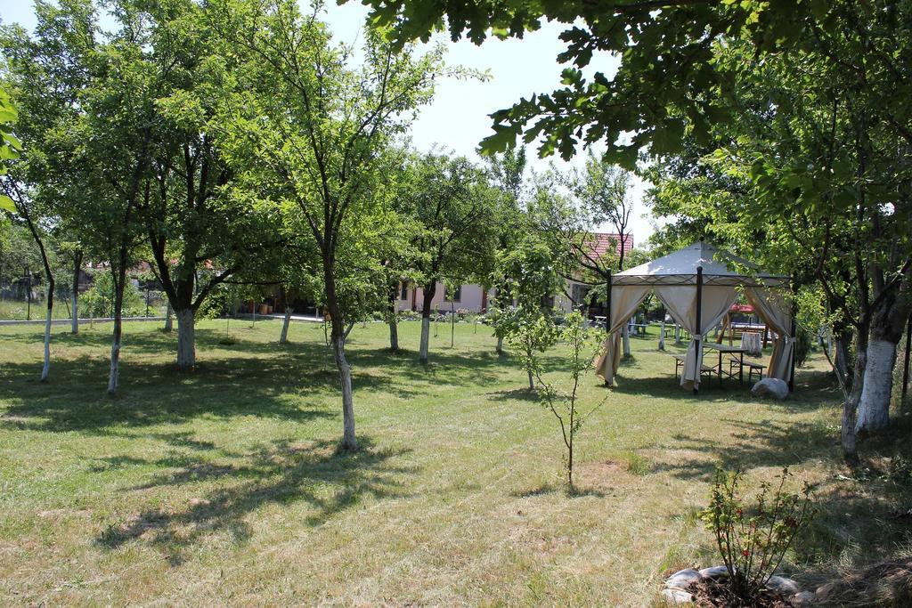 Pensiunea Casa Noastra Baia de Fier Exteriör bild