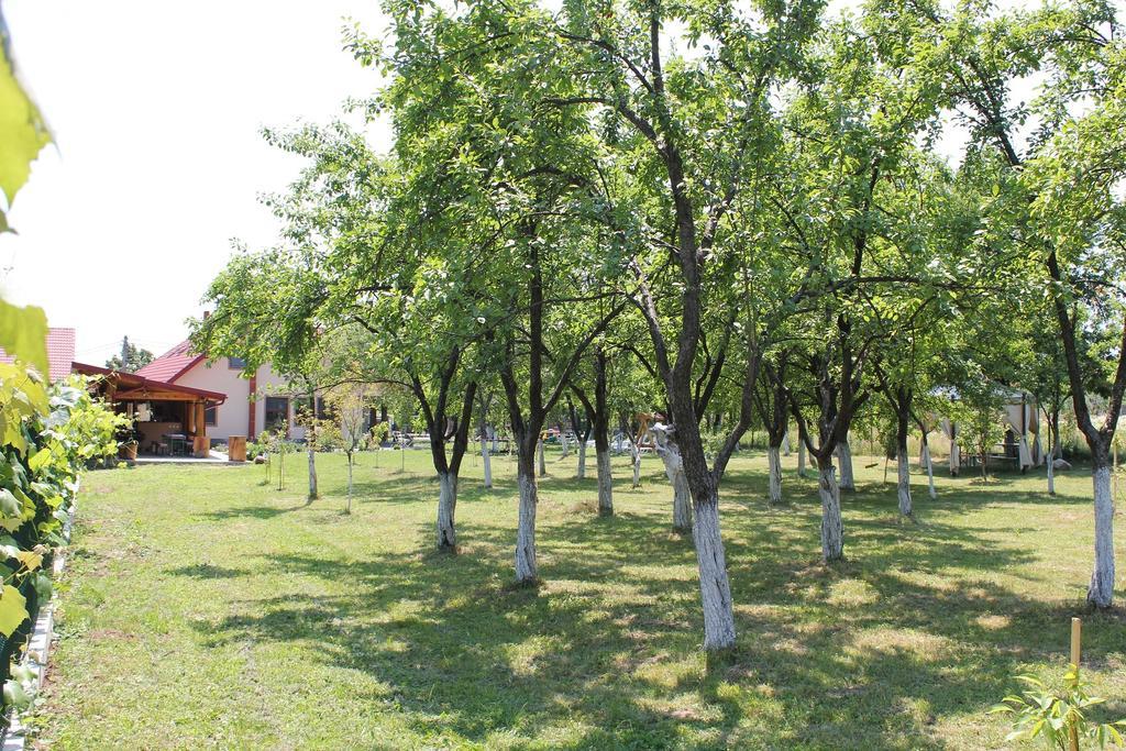 Pensiunea Casa Noastra Baia de Fier Exteriör bild