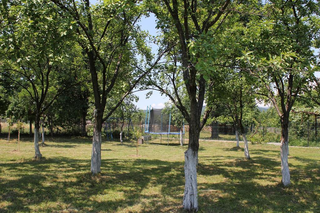 Pensiunea Casa Noastra Baia de Fier Exteriör bild