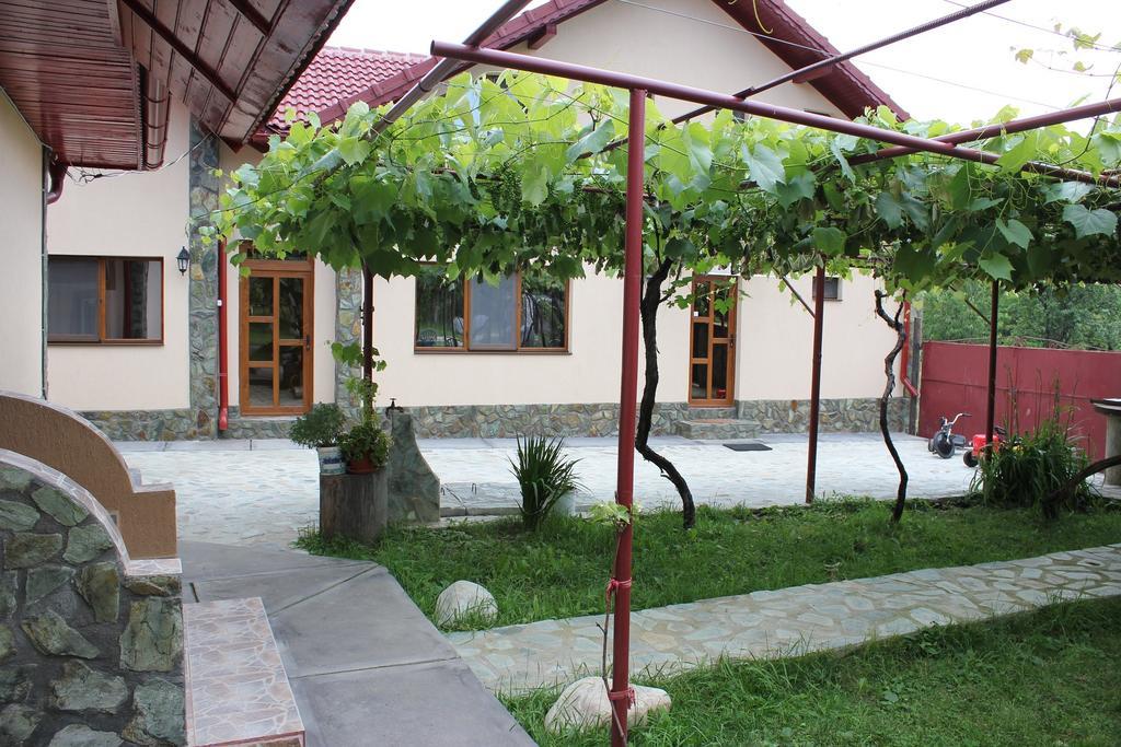 Pensiunea Casa Noastra Baia de Fier Exteriör bild