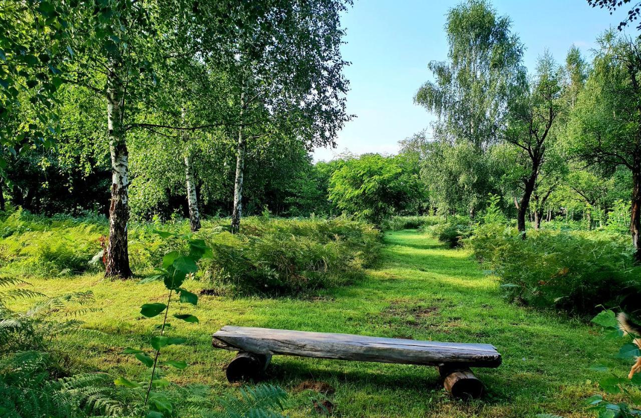 Pensiunea Casa Noastra Baia de Fier Exteriör bild